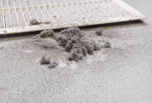 Best Local Air Duct Cleaning Services  in Wabash, IN