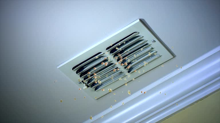 Best Air Duct Cleaning Near Me  in Wabash, IN