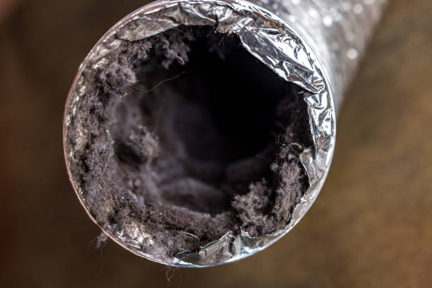 Best Ductwork Cleaning Services  in Wabash, IN